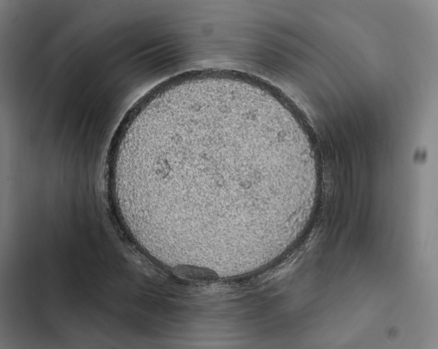 X0000102360879200808291223