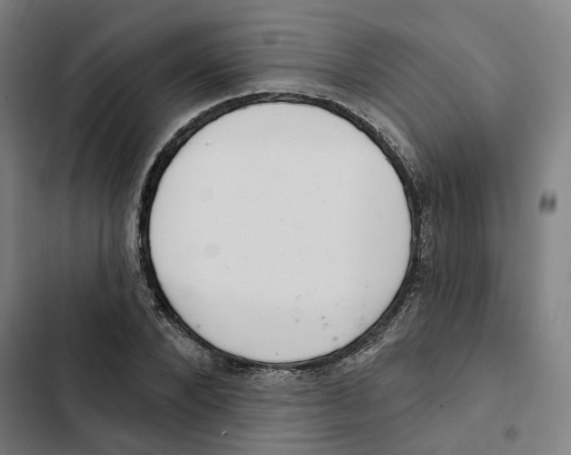 X0000102360880200808291223