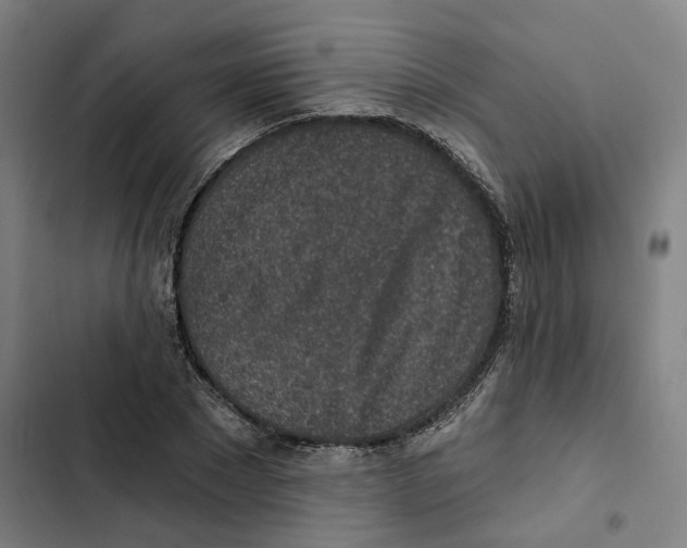 X0000102360881200808291223