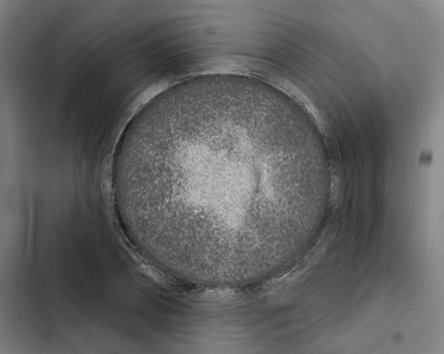 X0000102360882200808291223