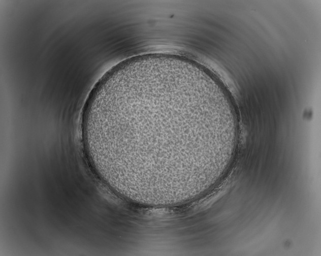 X0000102360883200808291223