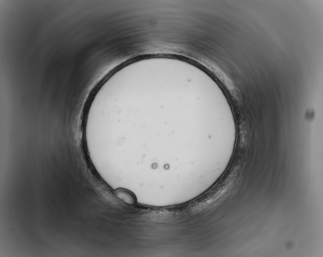 X0000102360885200808291223