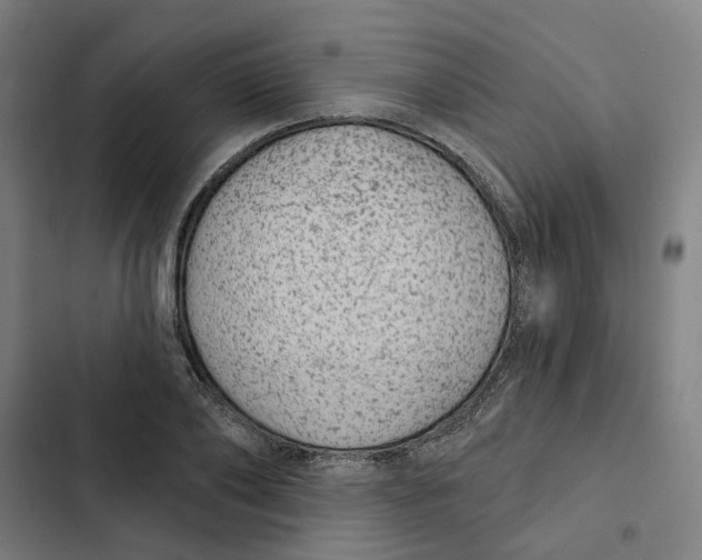 X0000102360886200808291223