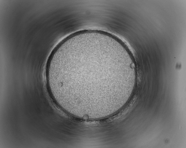 X0000102360887200808291223