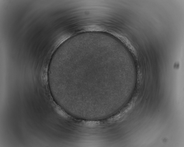 X0000102360889200808291223