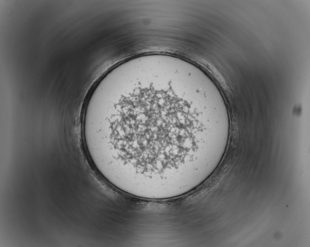 X0000102360890200808291223