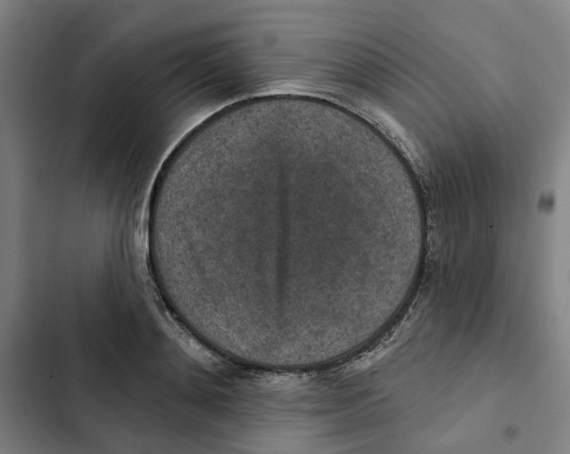 X0000102360892200808291223