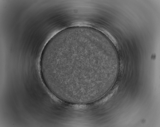 X0000102360893200808291223