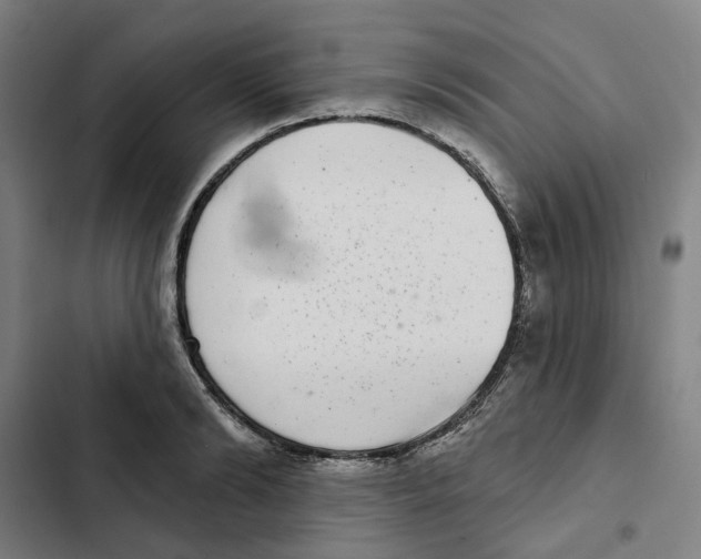 X0000102360894200808291223