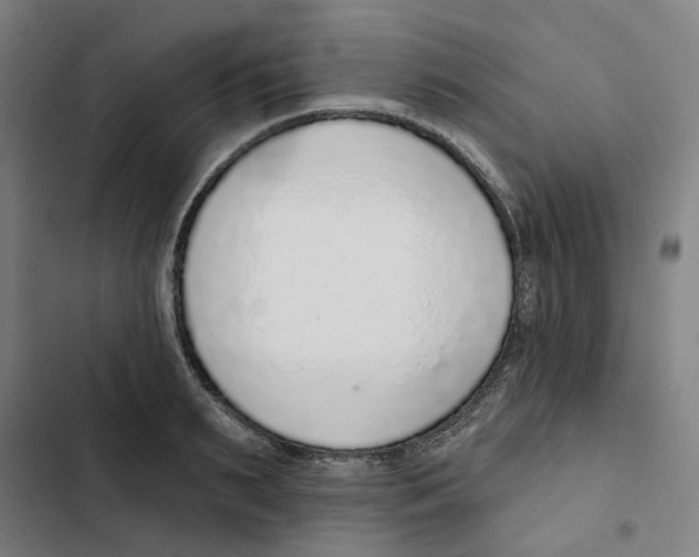 X0000102360895200808291222