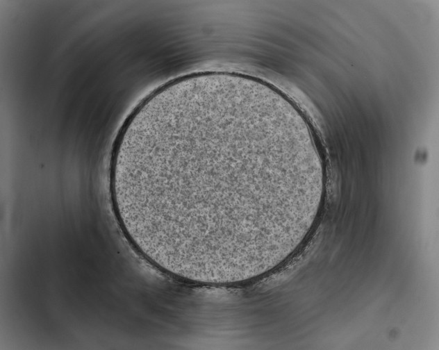 X0000102360896200808291222