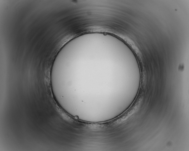 X0000102360897200808291222