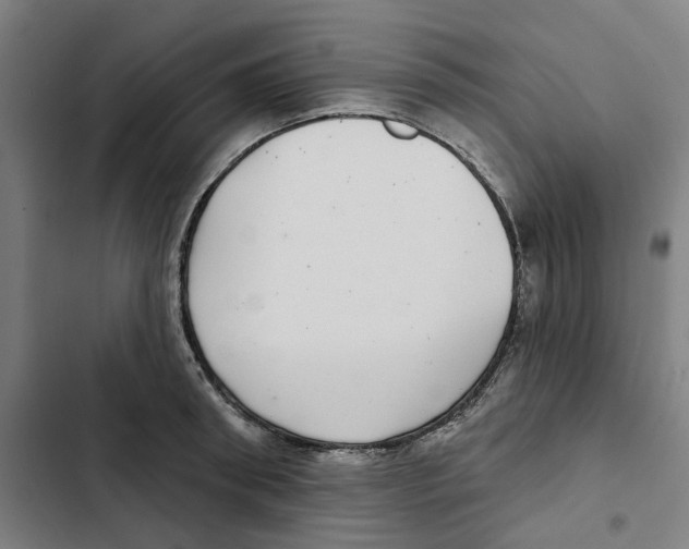 X0000102360898200808291222