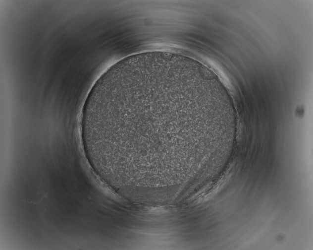 X0000102360899200808291222