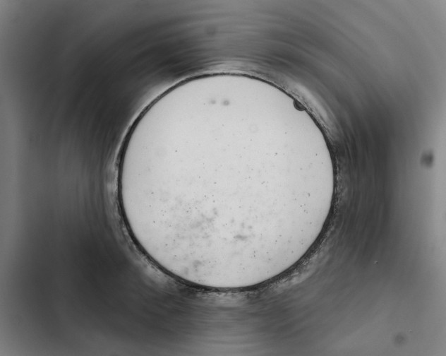 X0000102360900200808291222
