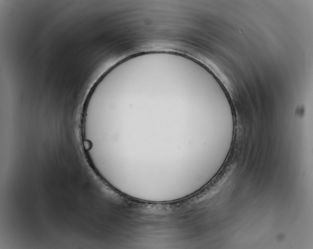 X0000102360901200808291222
