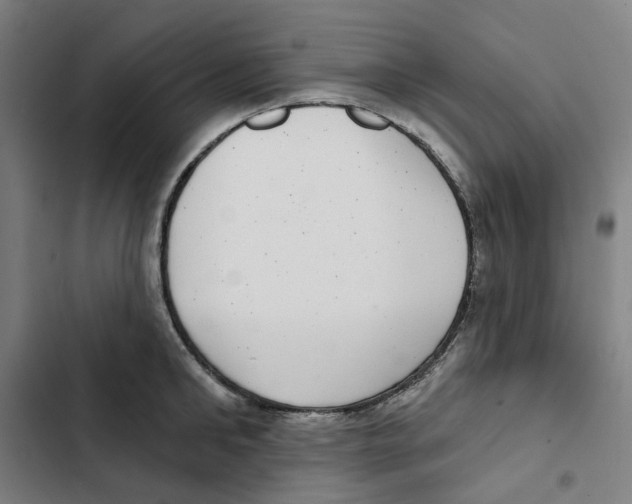 X0000102360902200808291222