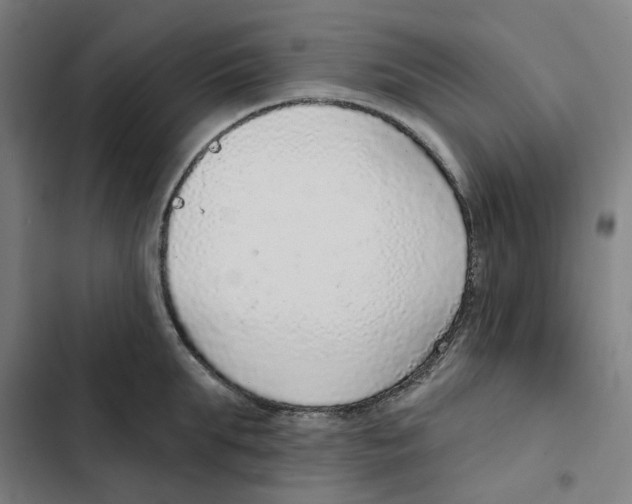 X0000102360903200808291222