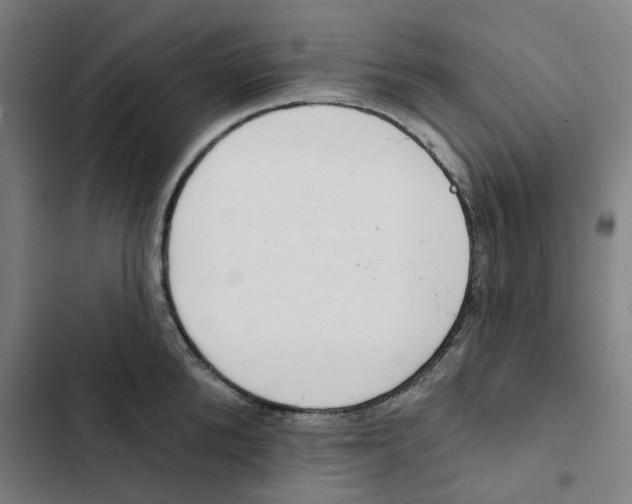 X0000102360904200808291222