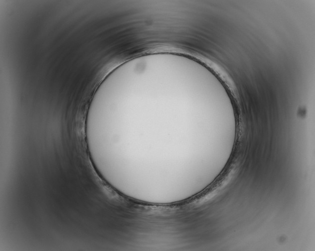 X0000102360905200808291222