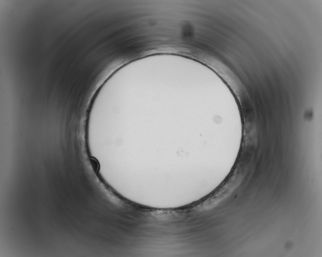 X0000102360906200808291222