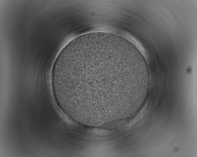X0000102360907200808291222