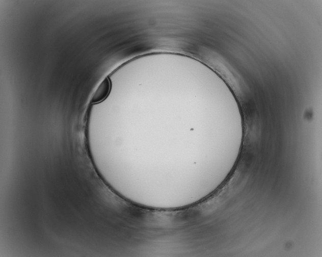 X0000102360908200808291222