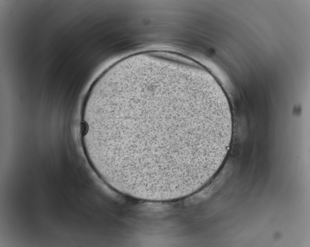 X0000102360910200808291222