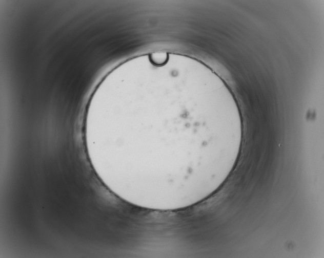 X0000102360912200808291222