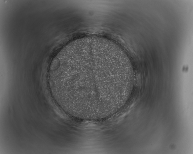 X0000102360913200808291221