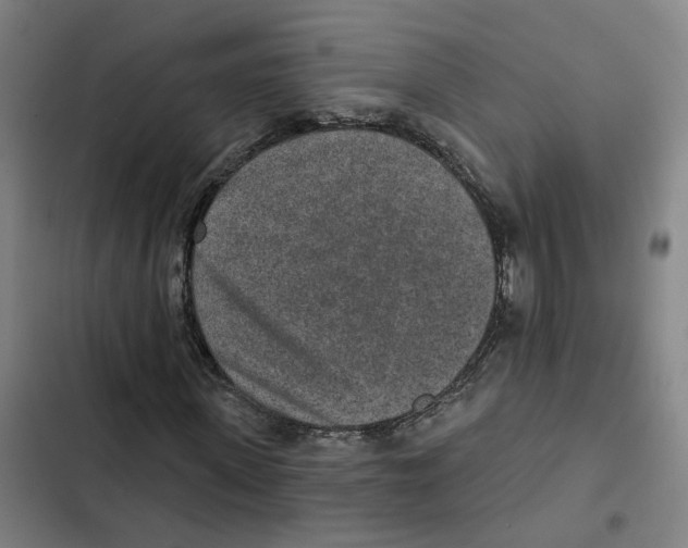 X0000102360915200808291221