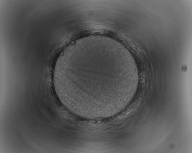 X0000102360916200808291221