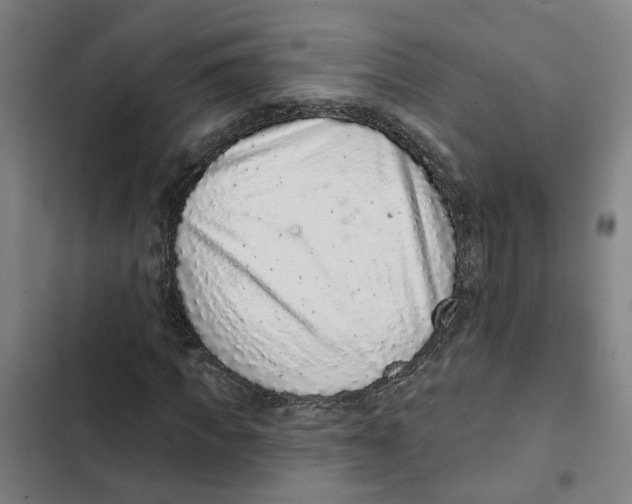 X0000102360917200808291221