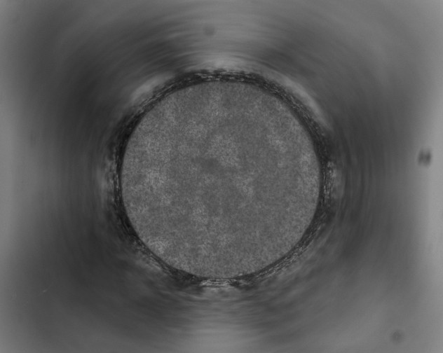 X0000102360918200808291222