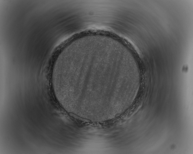 X0000102360919200808291222