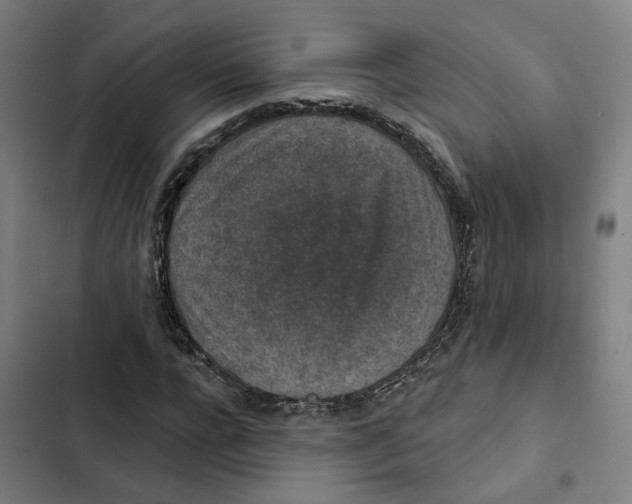 X0000102360920200808291222