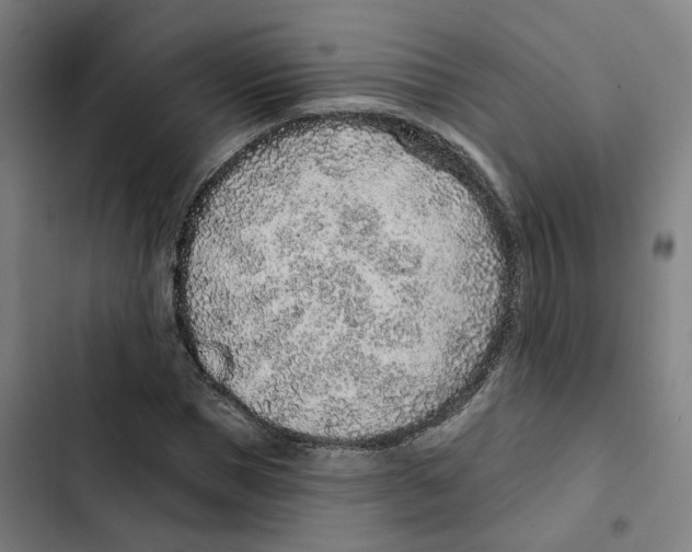 X0000102360921200808291222