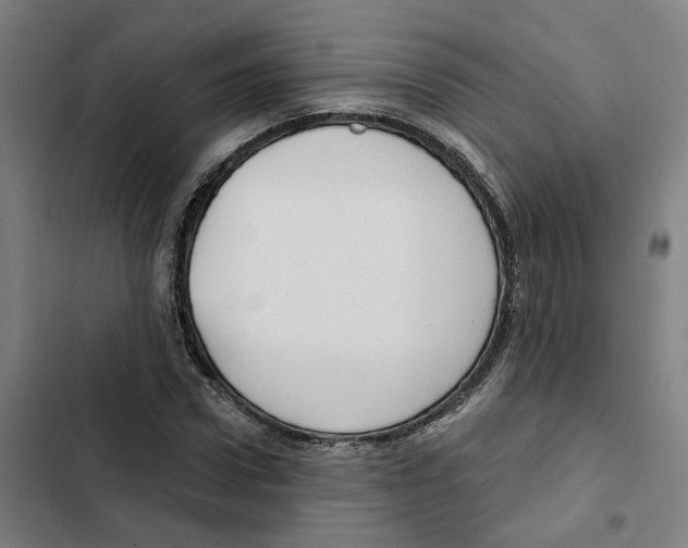 X0000102360922200808291222