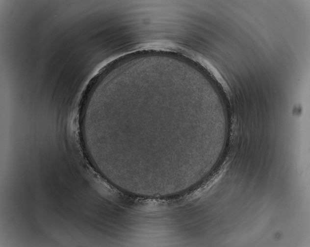 X0000102360923200808291222