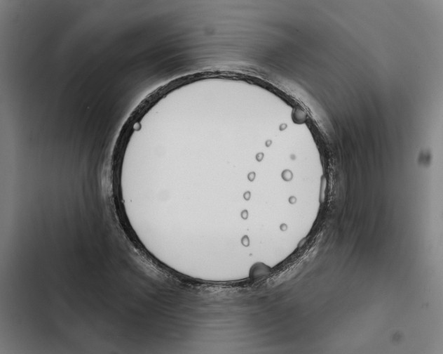 X0000102360924200808291222