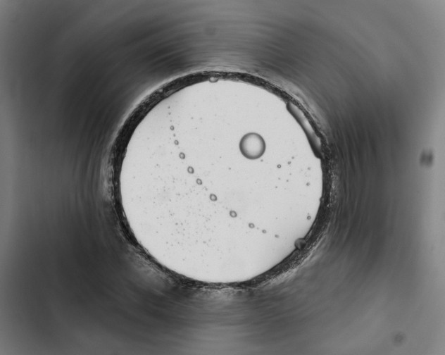 X0000102360926200808291222