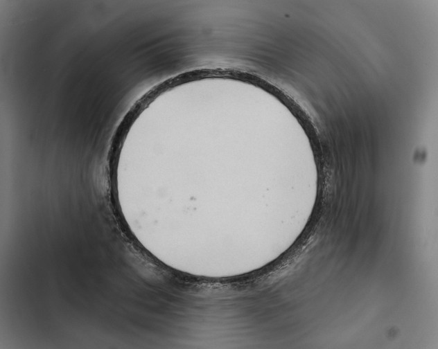 X0000102360927200808291222