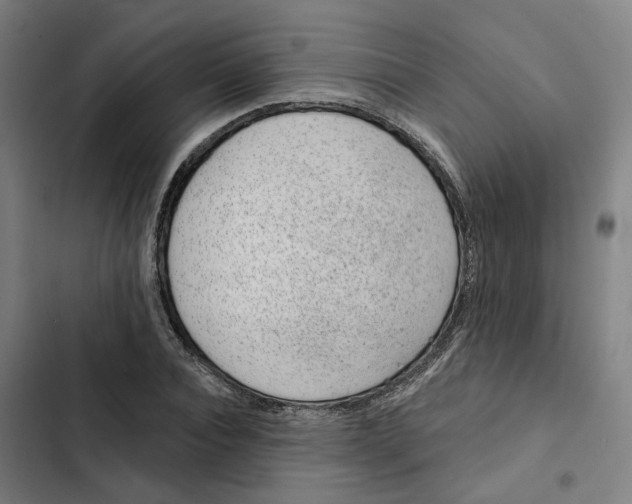 X0000102360928200808291222