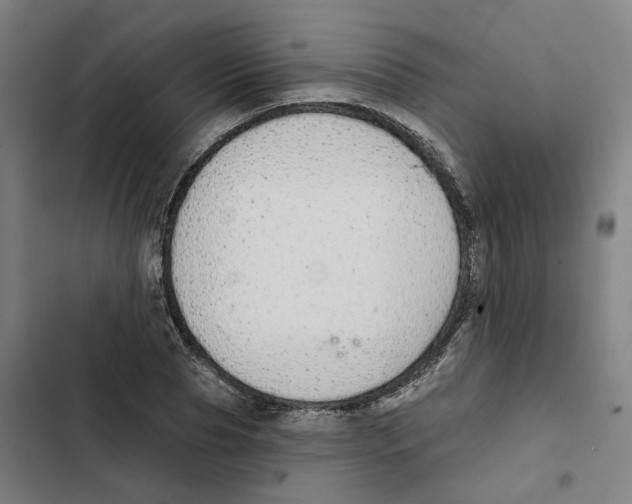 X0000102360929200808291222