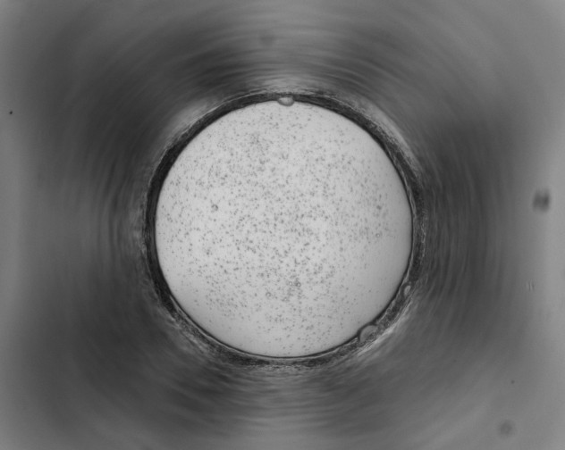 X0000102360930200808291222