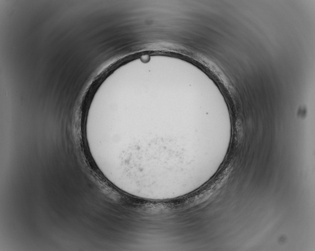 X0000102360931200808291222