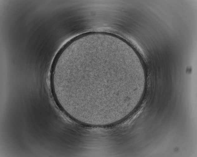 X0000102360932200808291222