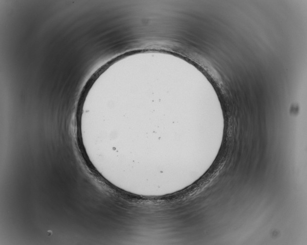 X0000102360936200808291222