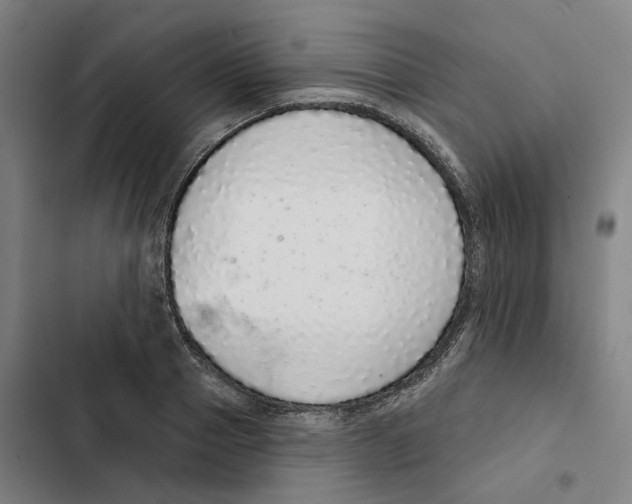 X0000102360937200808291222