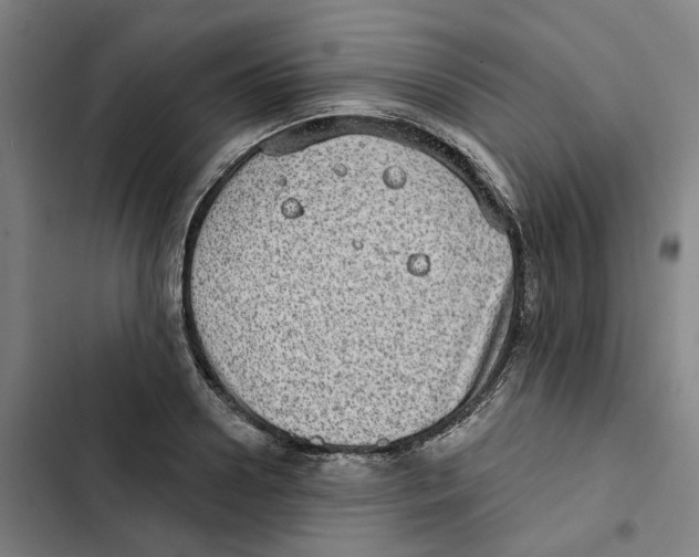 X0000102360938200808291222